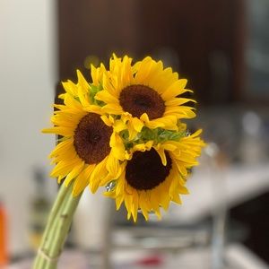 Accepting Reasonable Offers!